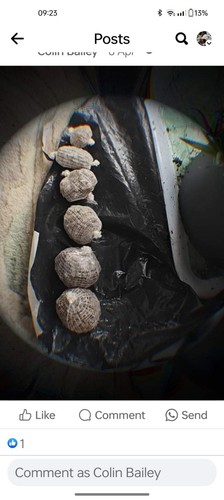 Mini carp bait balls - 70, hand